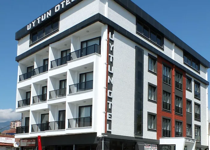 Uytun 3* Zeytinli